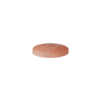 Polyester button 2-holes 11mm